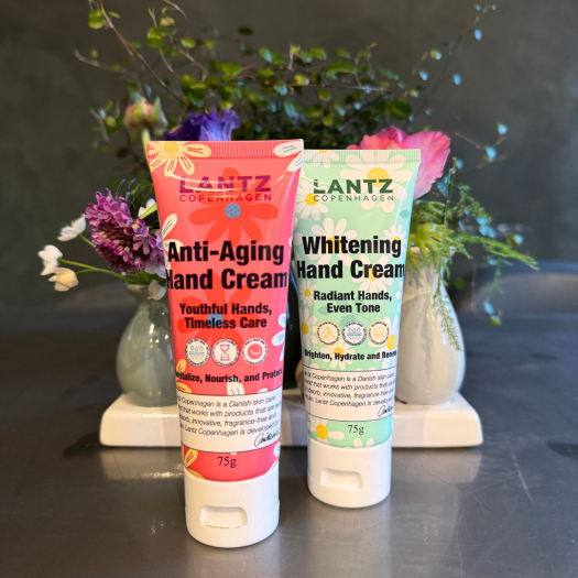 Image for category top